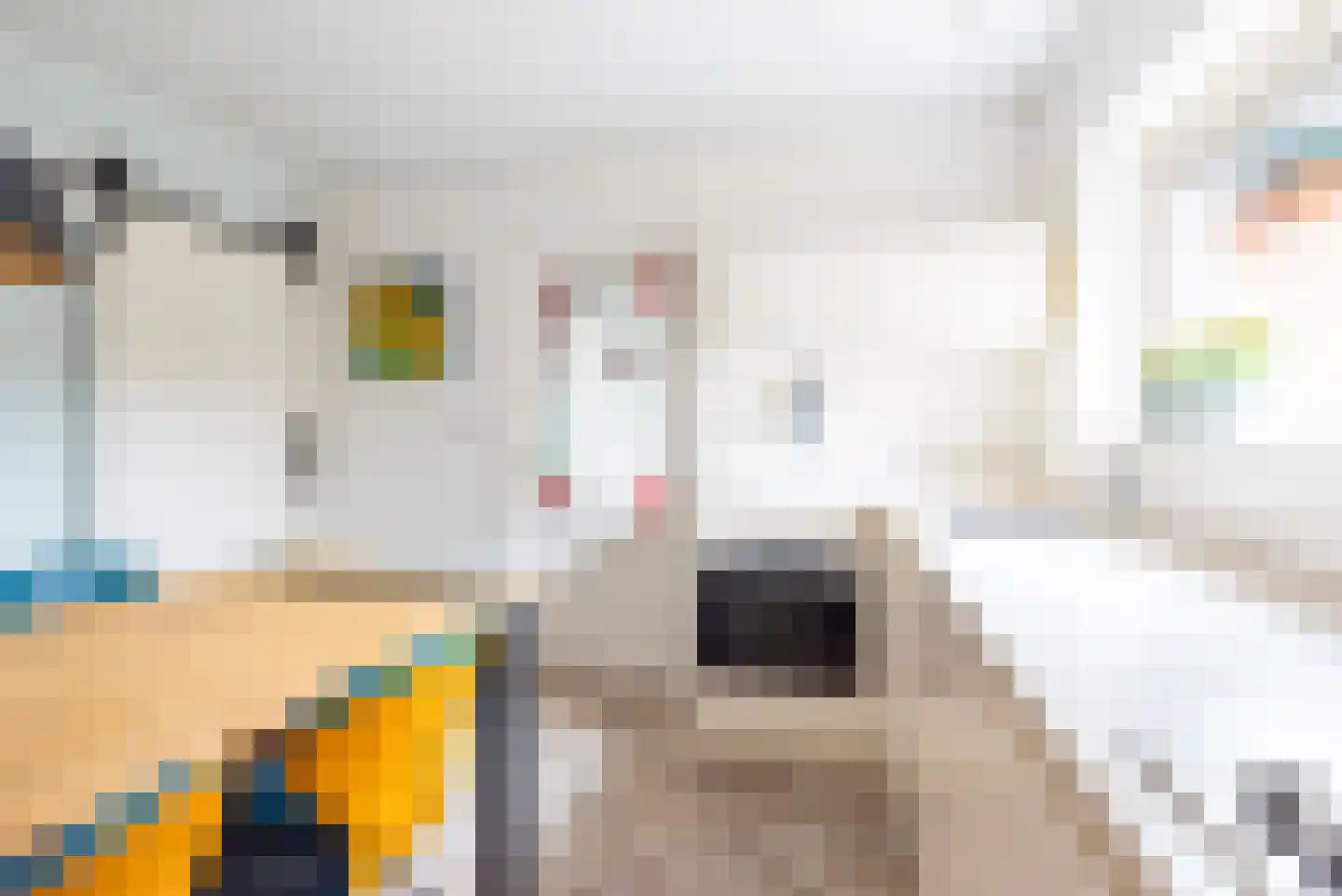 Waterstraat 3 Ulft thumbnail 19