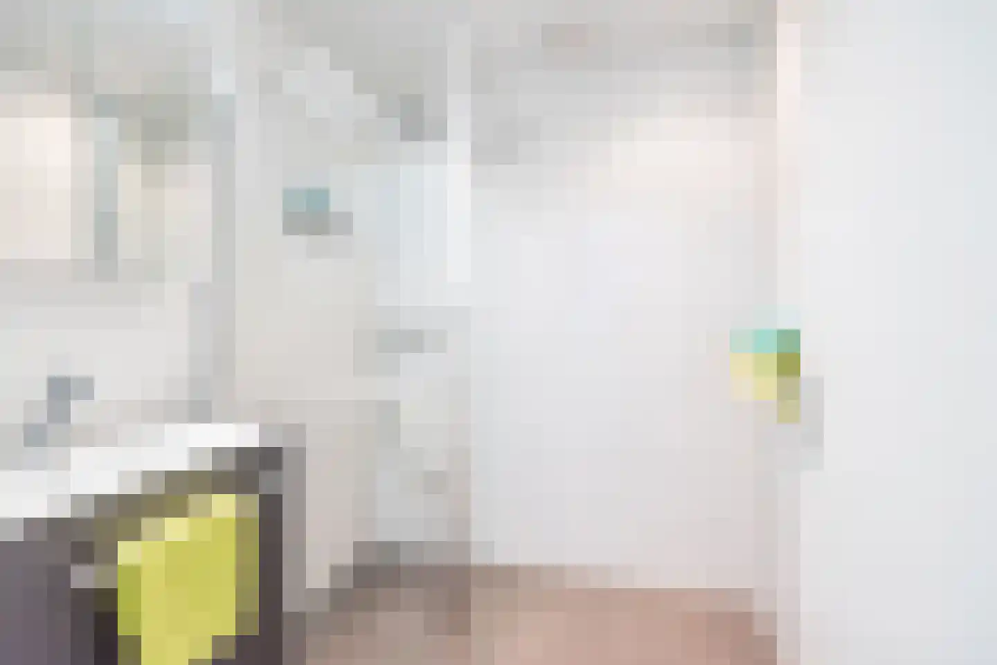 Waterstraat 3 Ulft thumbnail 23
