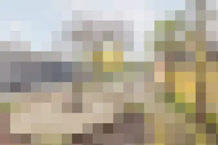 Waterstraat 3 Ulft thumbnail 39