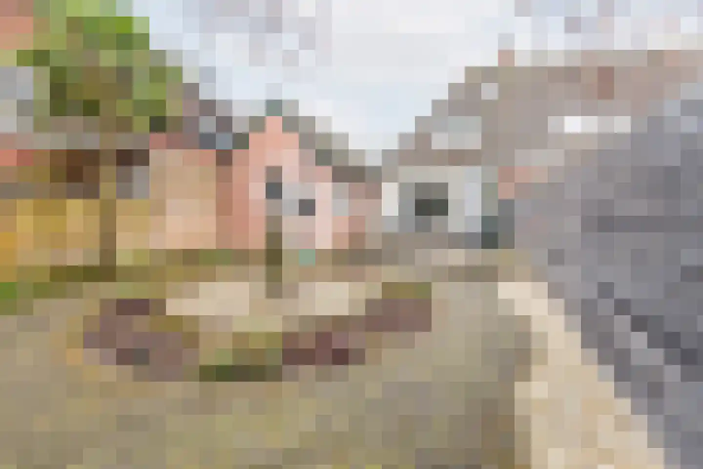 Waterstraat 3 Ulft thumbnail 41