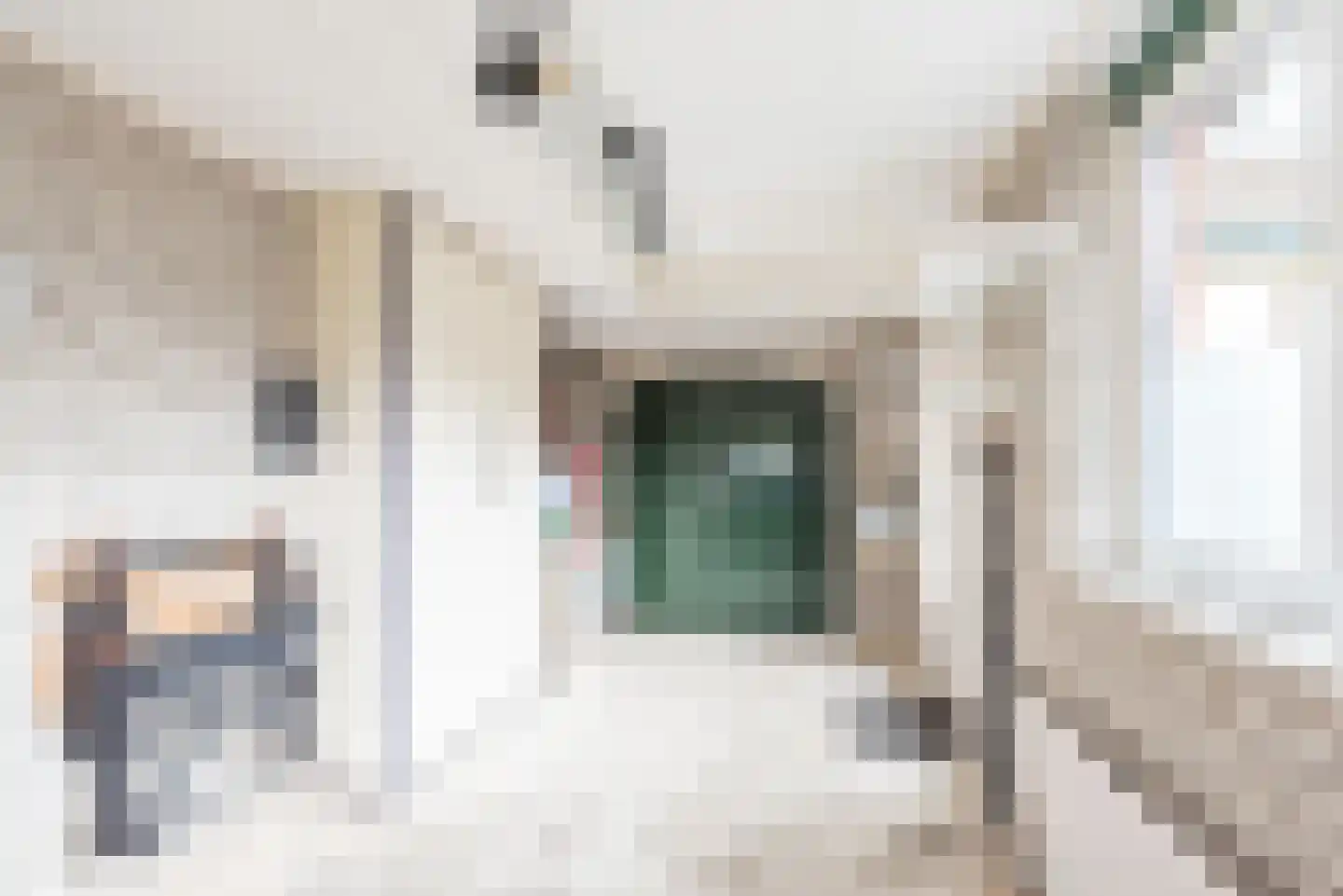 Waterstraat 3 Ulft thumbnail 43