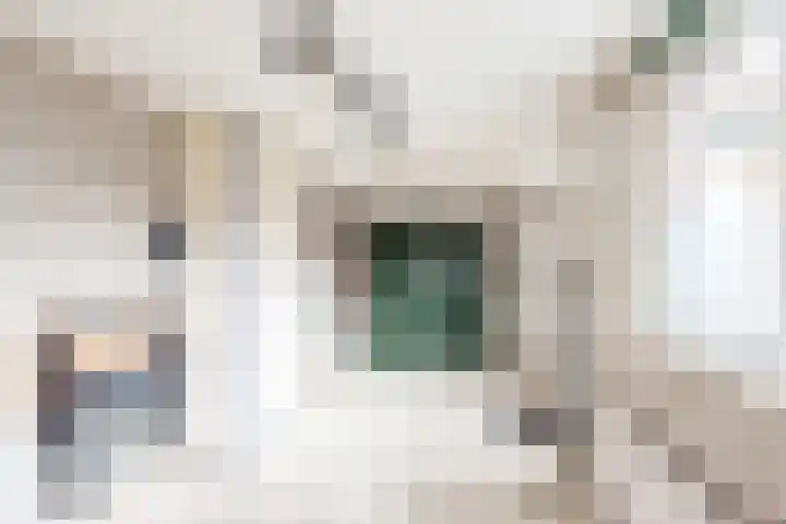 Waterstraat 3 Ulft thumbnail 43