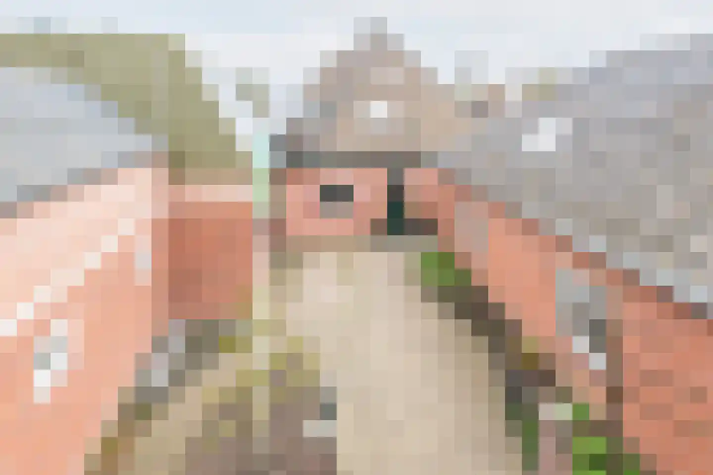 Waterstraat 3 Ulft thumbnail 7