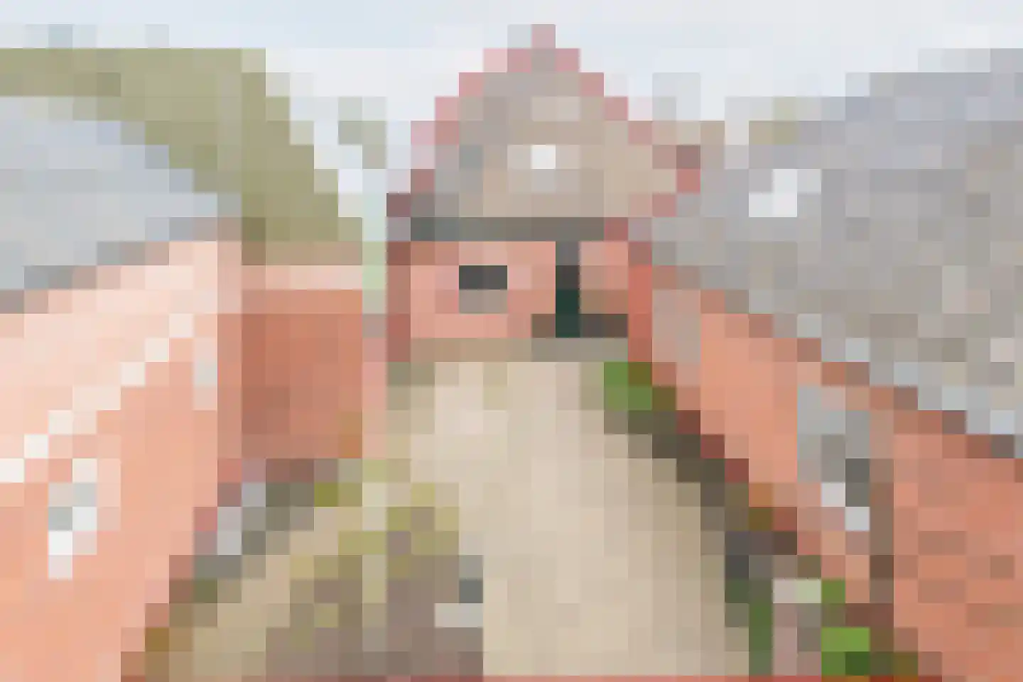 Waterstraat 3 Ulft thumbnail 8