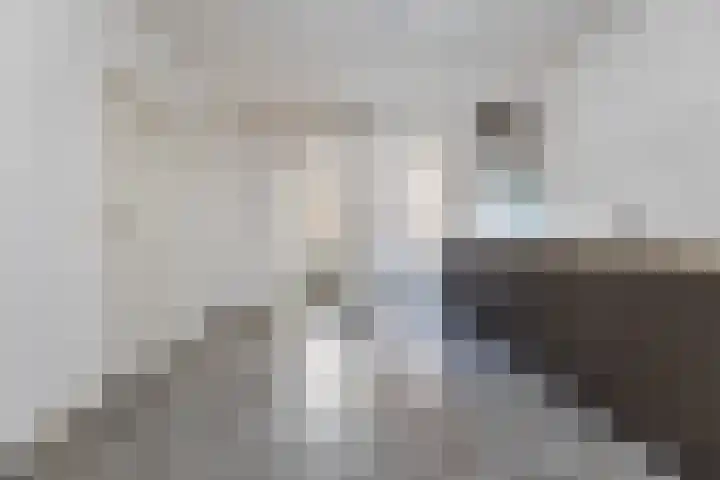 Waterstraat 3 Zwolle thumbnail 8