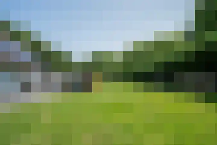 Waterstraat 35 Geleen thumbnail 48