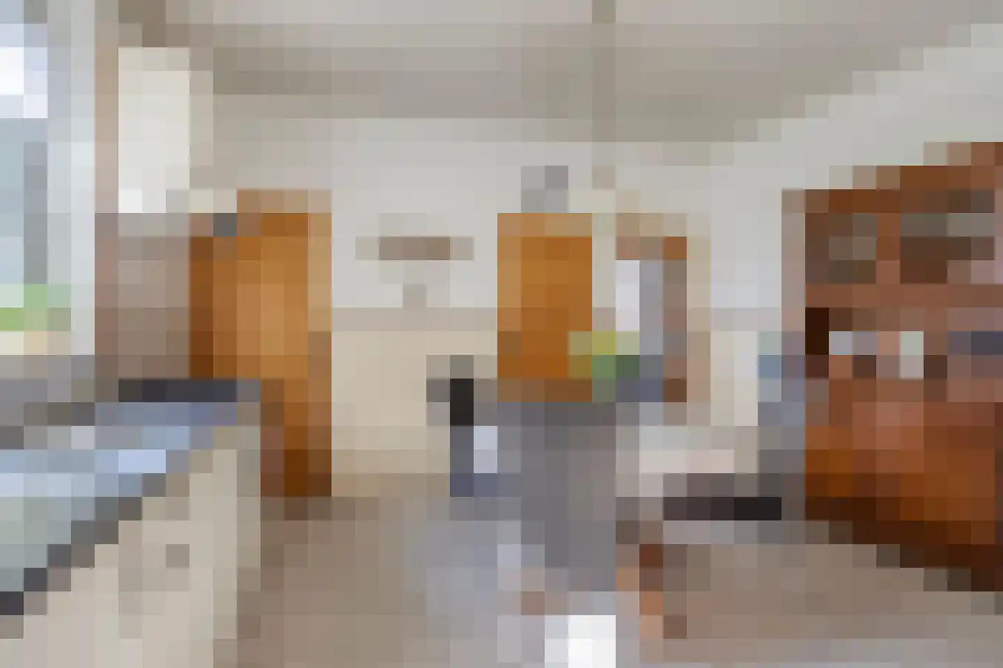 Waterstraat 4 Vlierden thumbnail 23