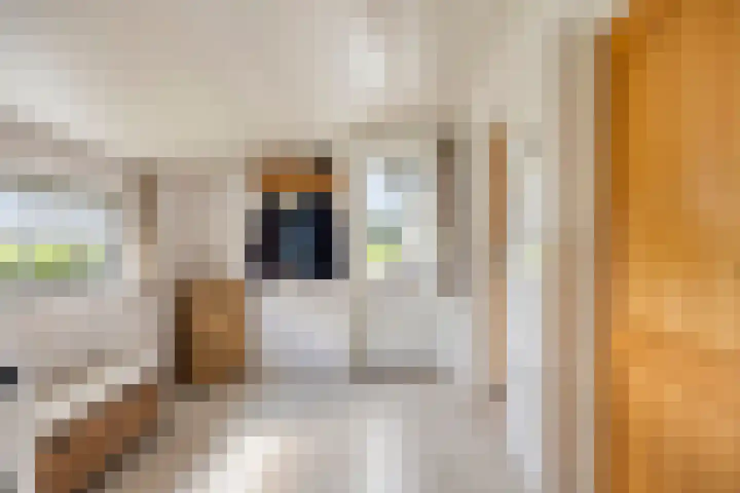 Waterstraat 4 Vlierden thumbnail 26