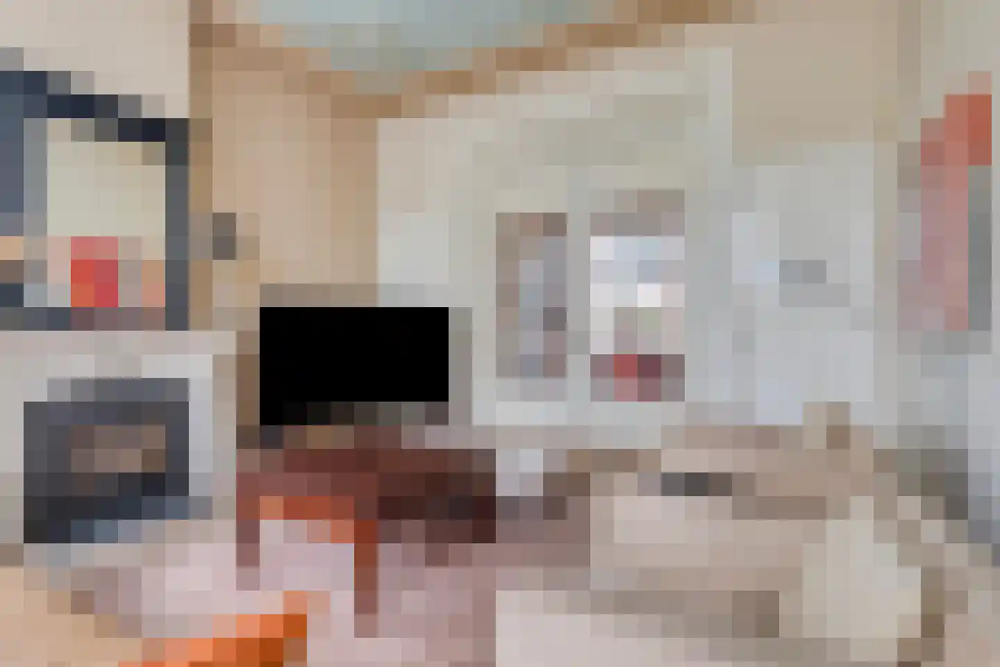 Waterstraat 4 Wouw thumbnail 12