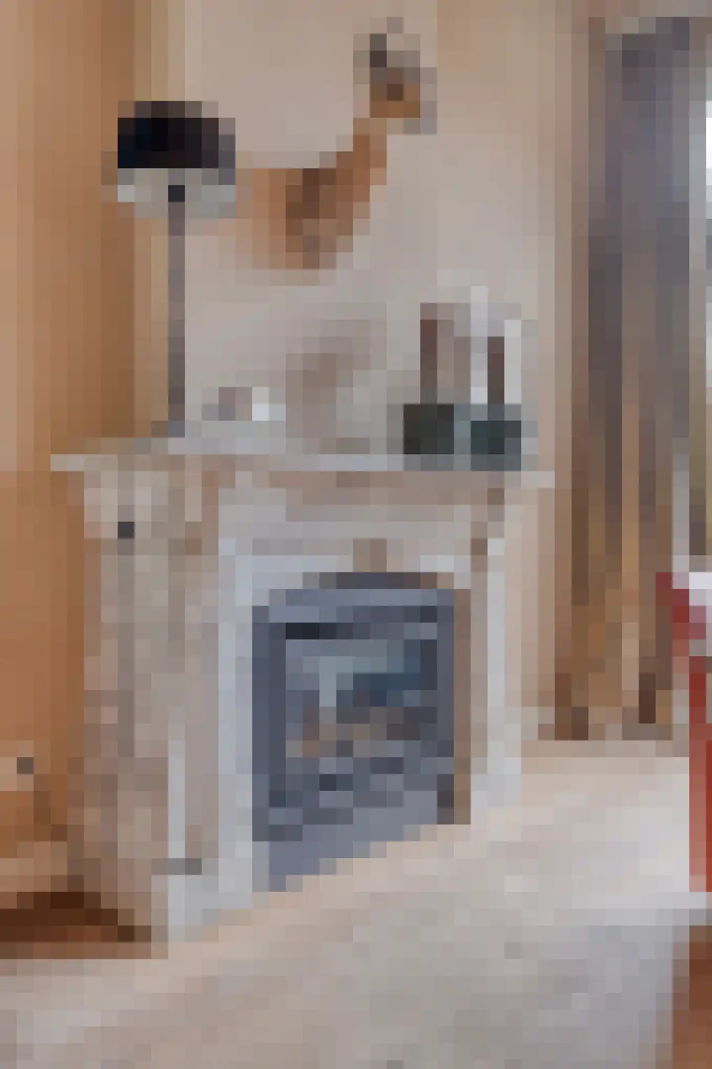 Waterstraat 4 Wouw thumbnail 14