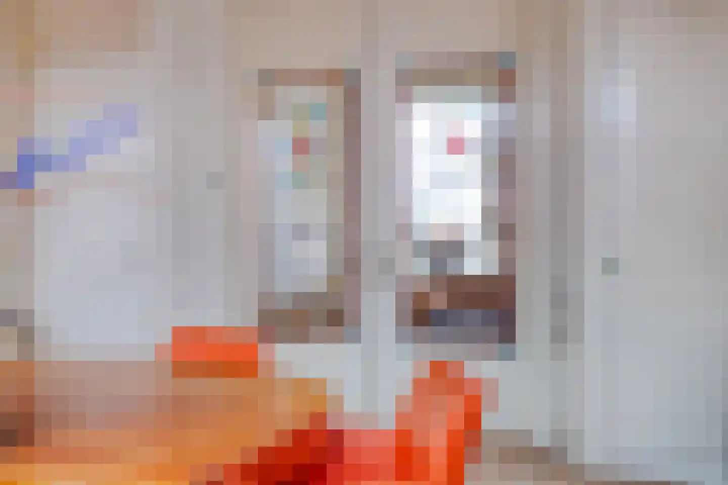 Waterstraat 4 Wouw thumbnail 17