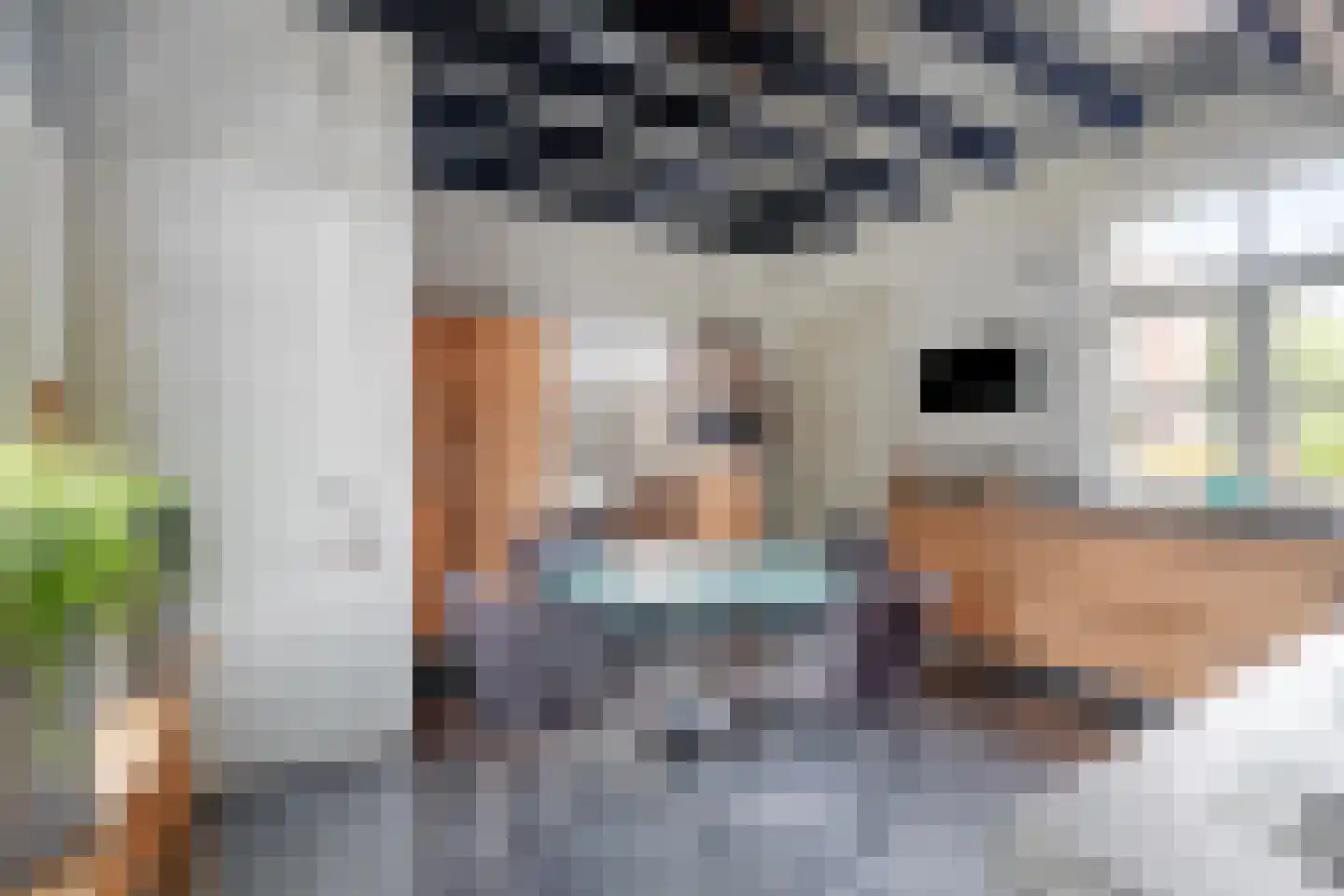 Waterstraat 4 Wouw thumbnail 24