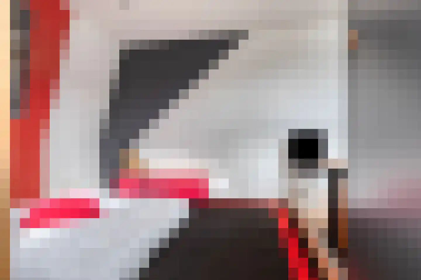 Waterstraat 4 Wouw thumbnail 41