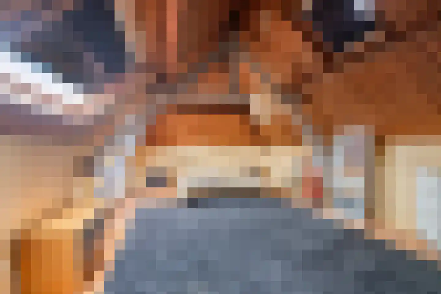 Waterstraat 4 Wouw thumbnail 44