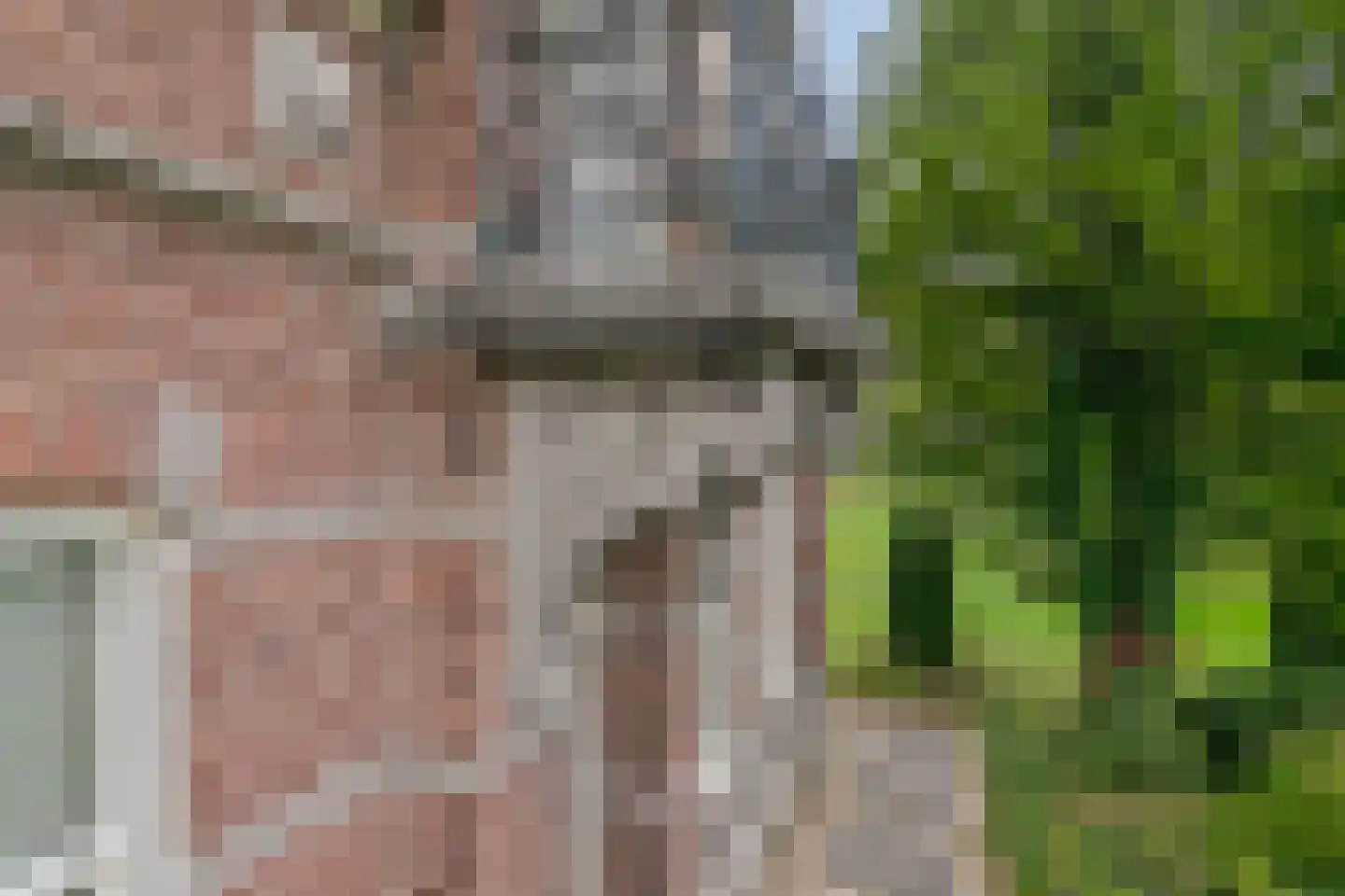 Waterstraat 4 Wouw thumbnail 57
