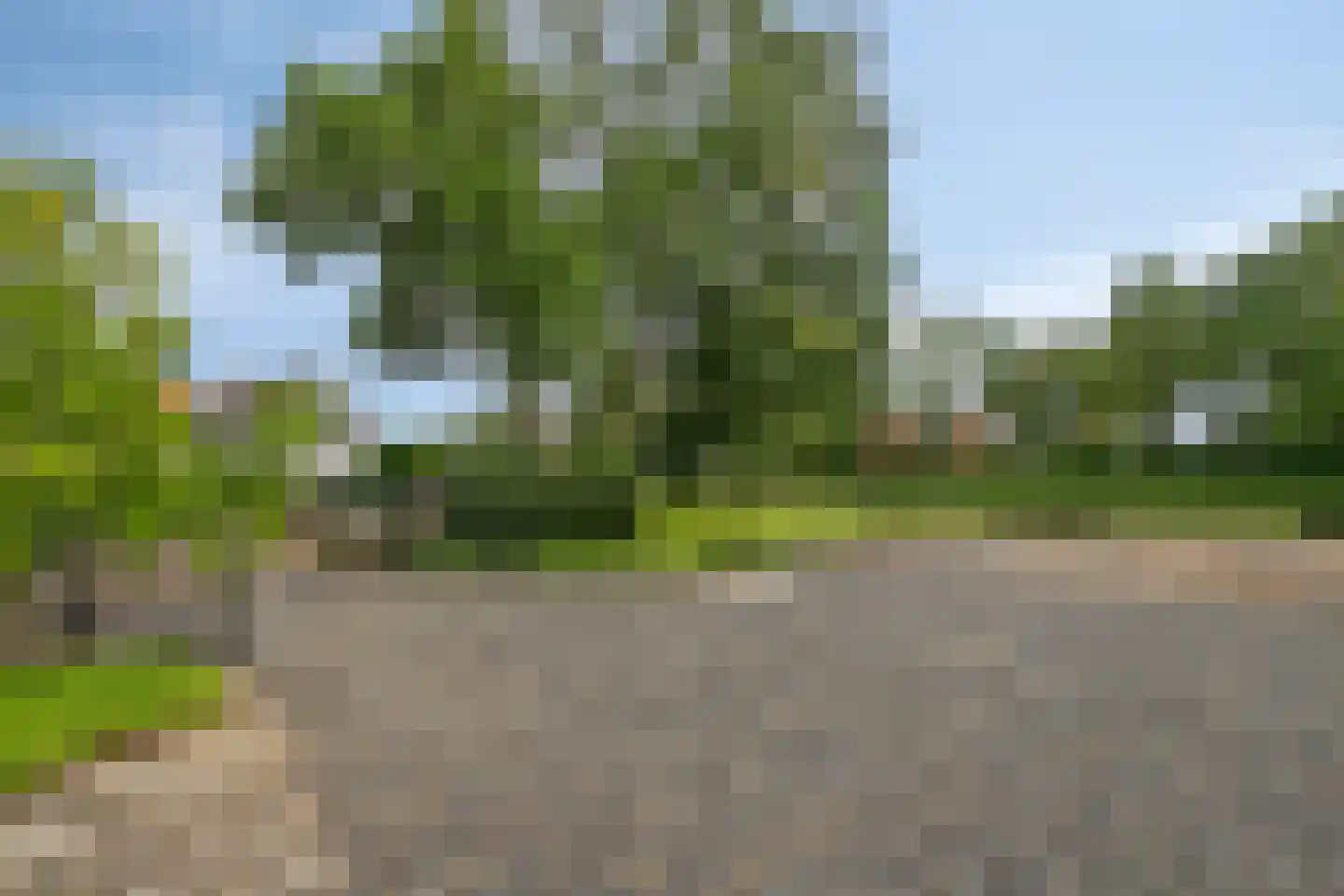 Waterstraat 4 Wouw thumbnail 59