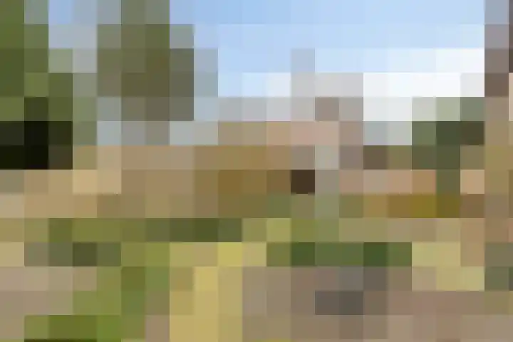 Waterstraat 40 Halsteren thumbnail 5