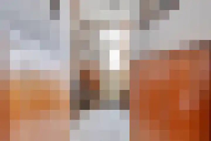 Waterstraat 40 Halsteren thumbnail 8