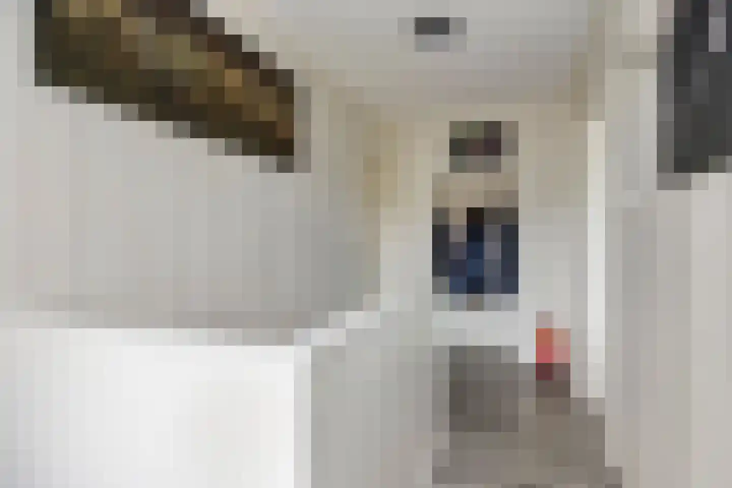 Waterstraat 5 a Goor thumbnail 8