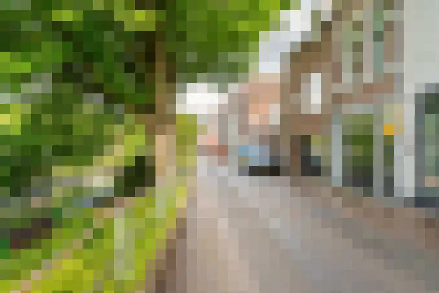 Waterstraat 54 c Tiel thumbnail 5