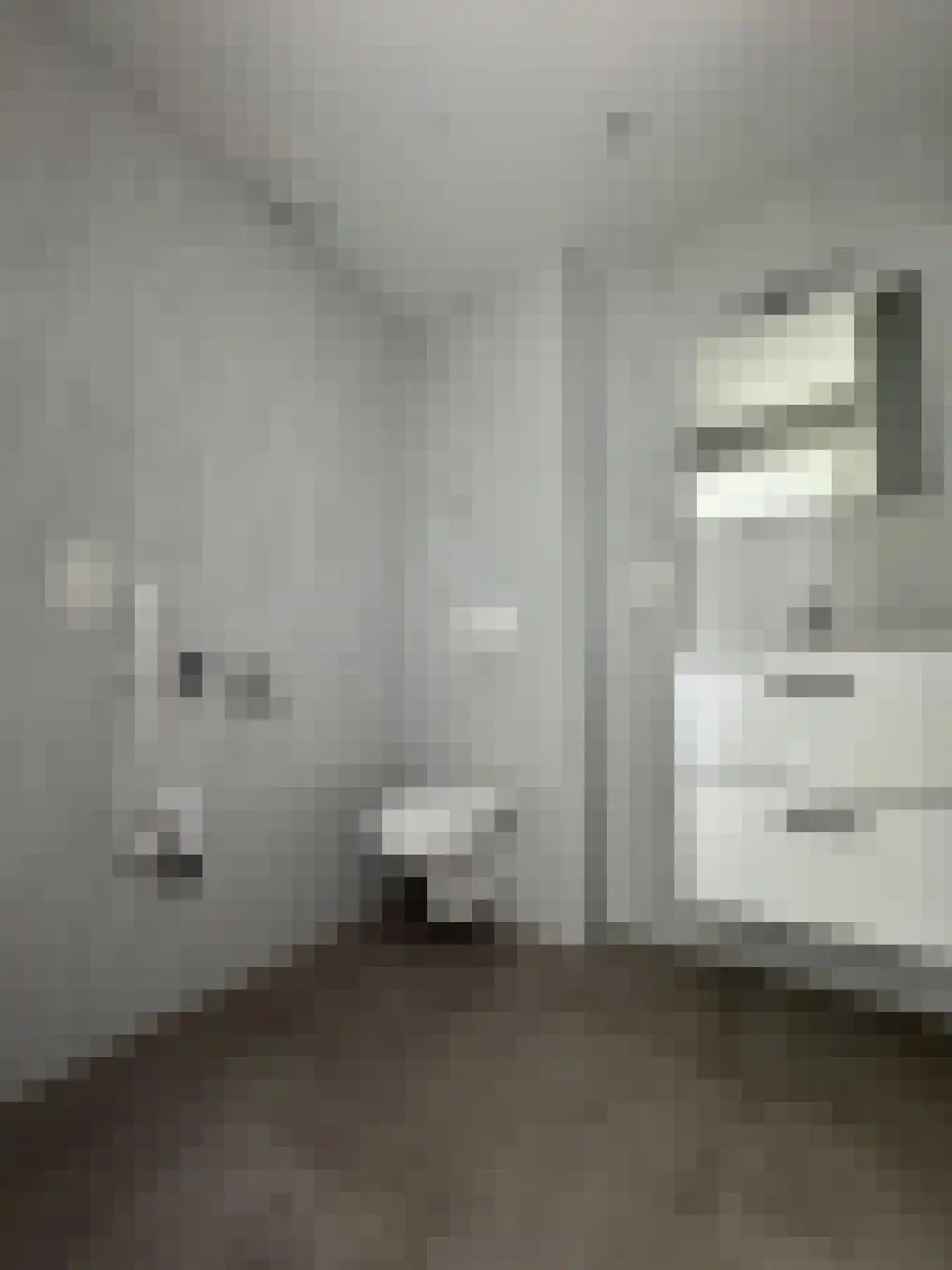 Waterstraat 55 b Tiel thumbnail 12