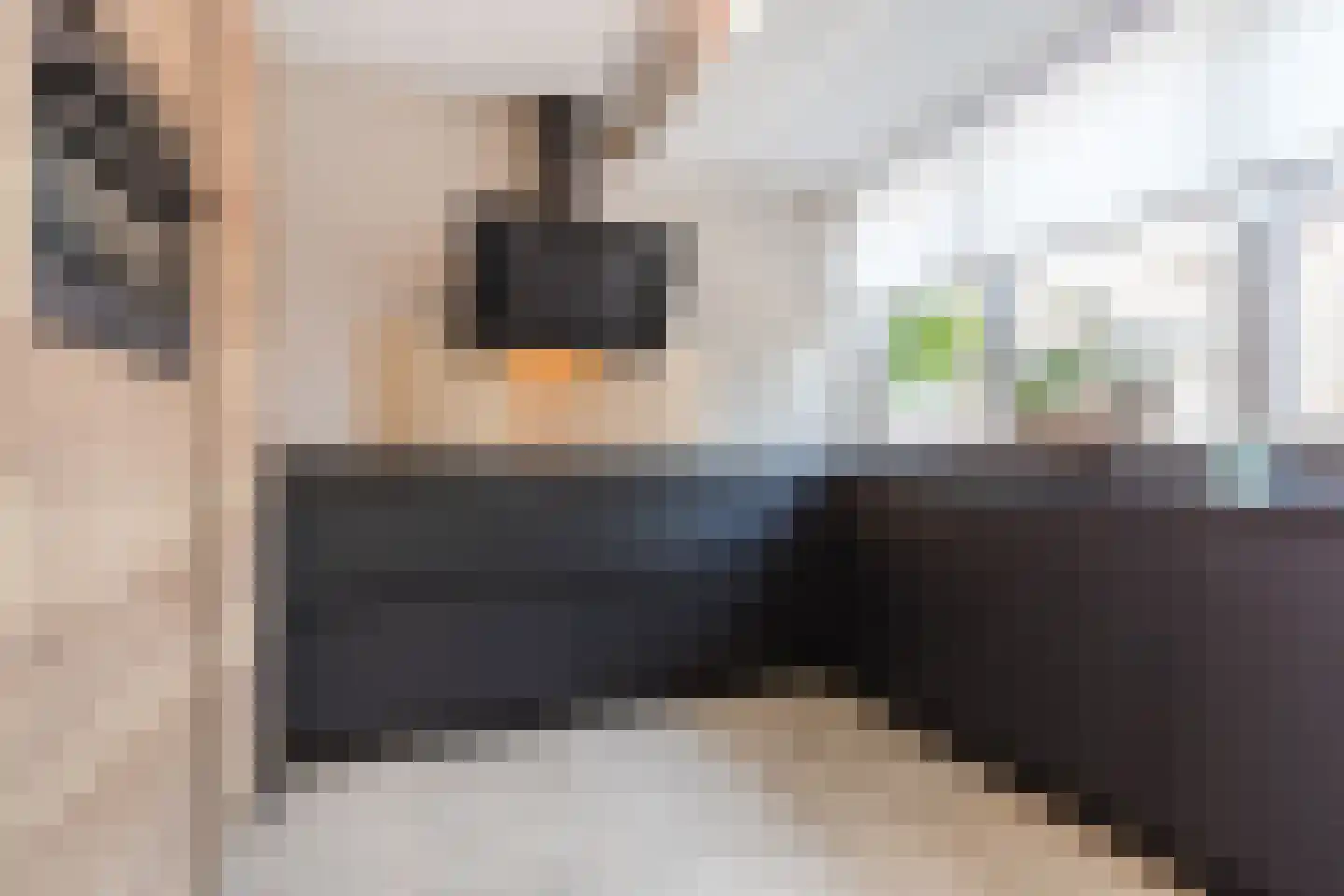 Waterstraat 56 Halsteren thumbnail 15