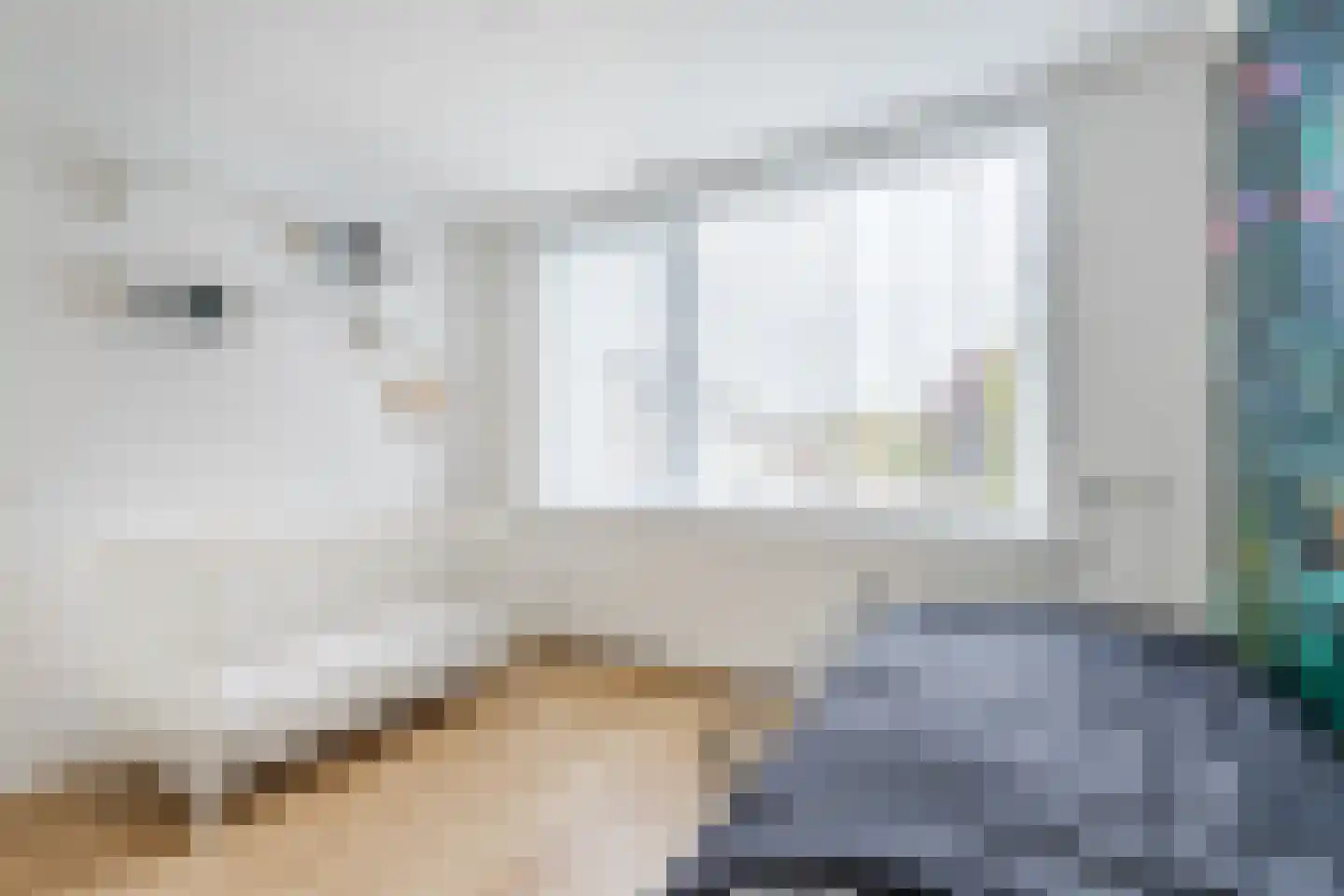 Waterstraat 56 Halsteren thumbnail 20
