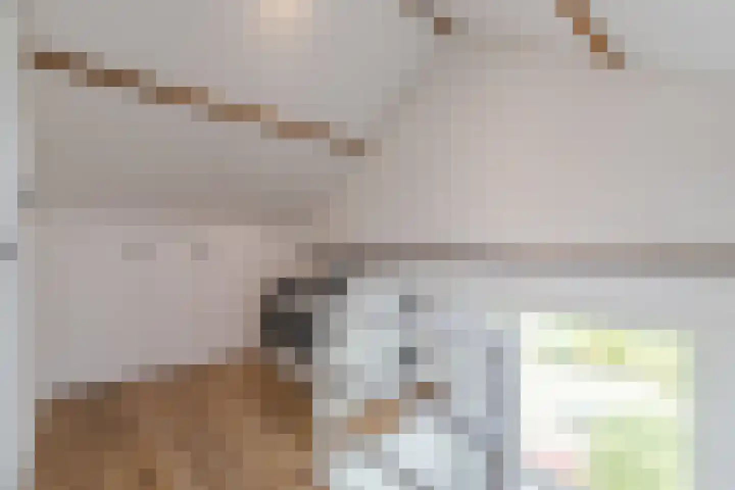 Waterstraat 56 Halsteren thumbnail 32