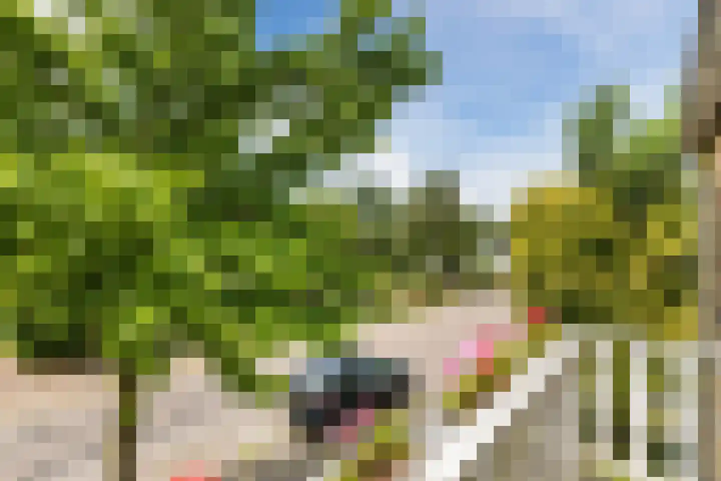 Waterstraat 56 Halsteren thumbnail 36