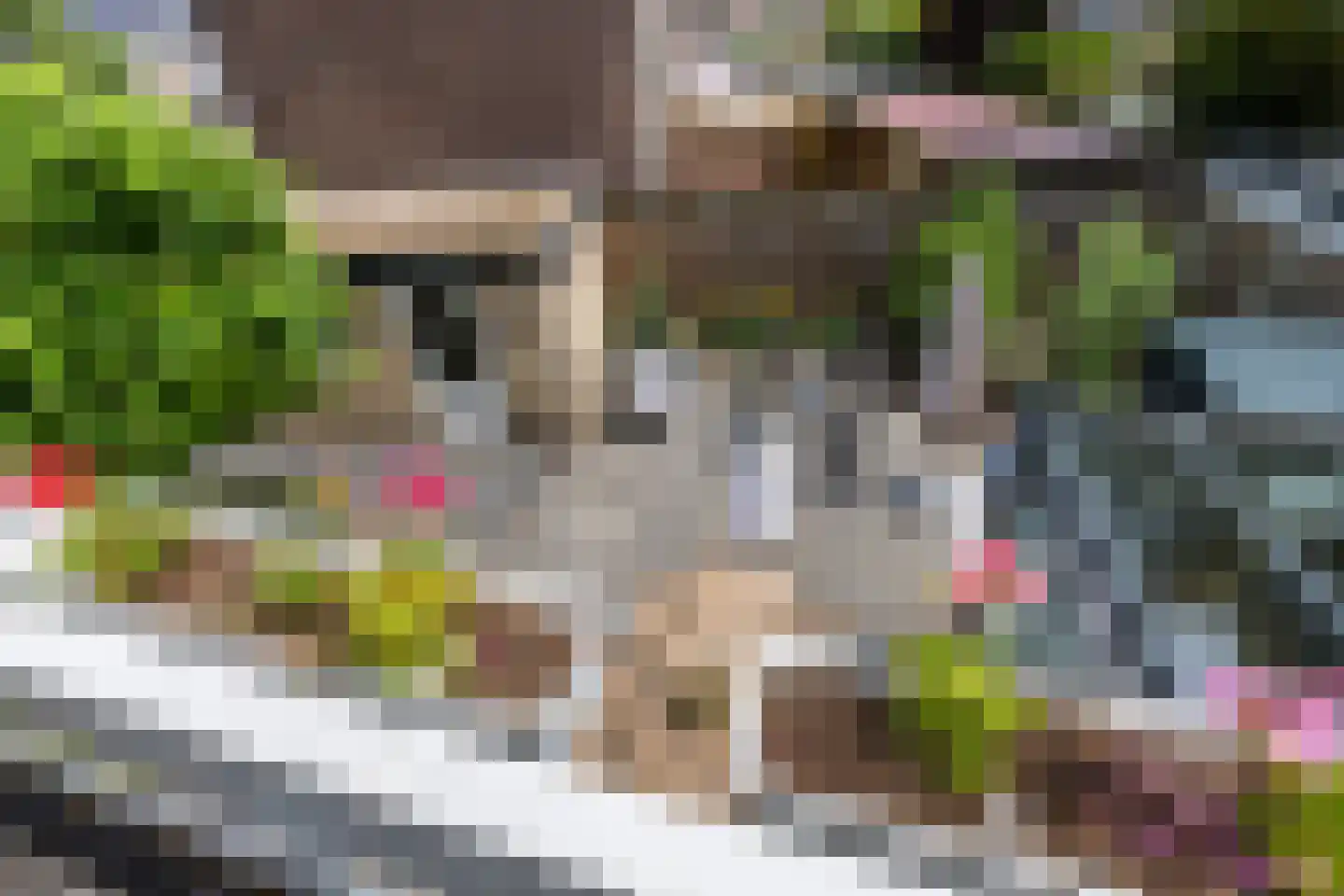 Waterstraat 56 Halsteren thumbnail 38