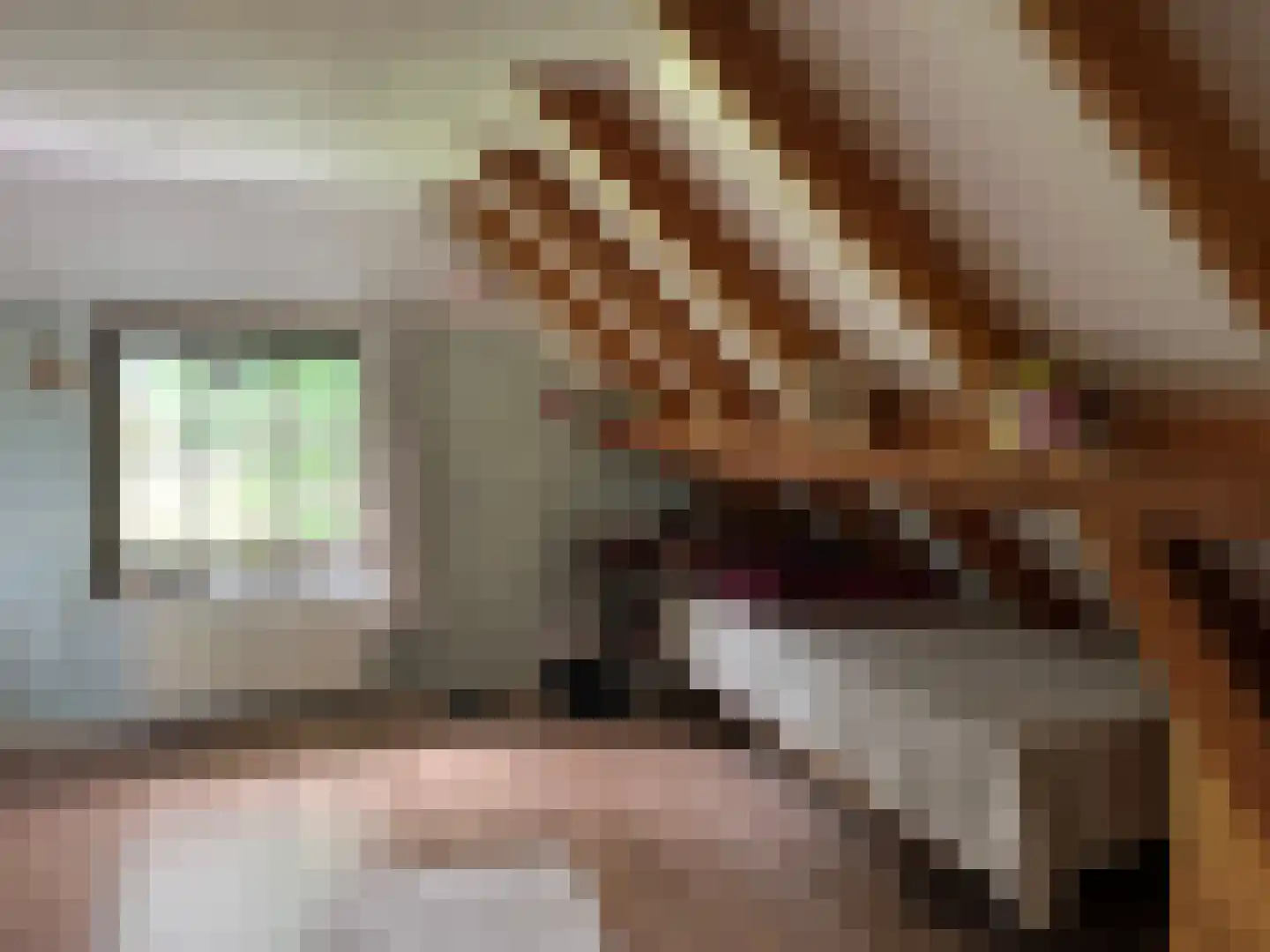 Waterstraat 6 Vaassen thumbnail 21