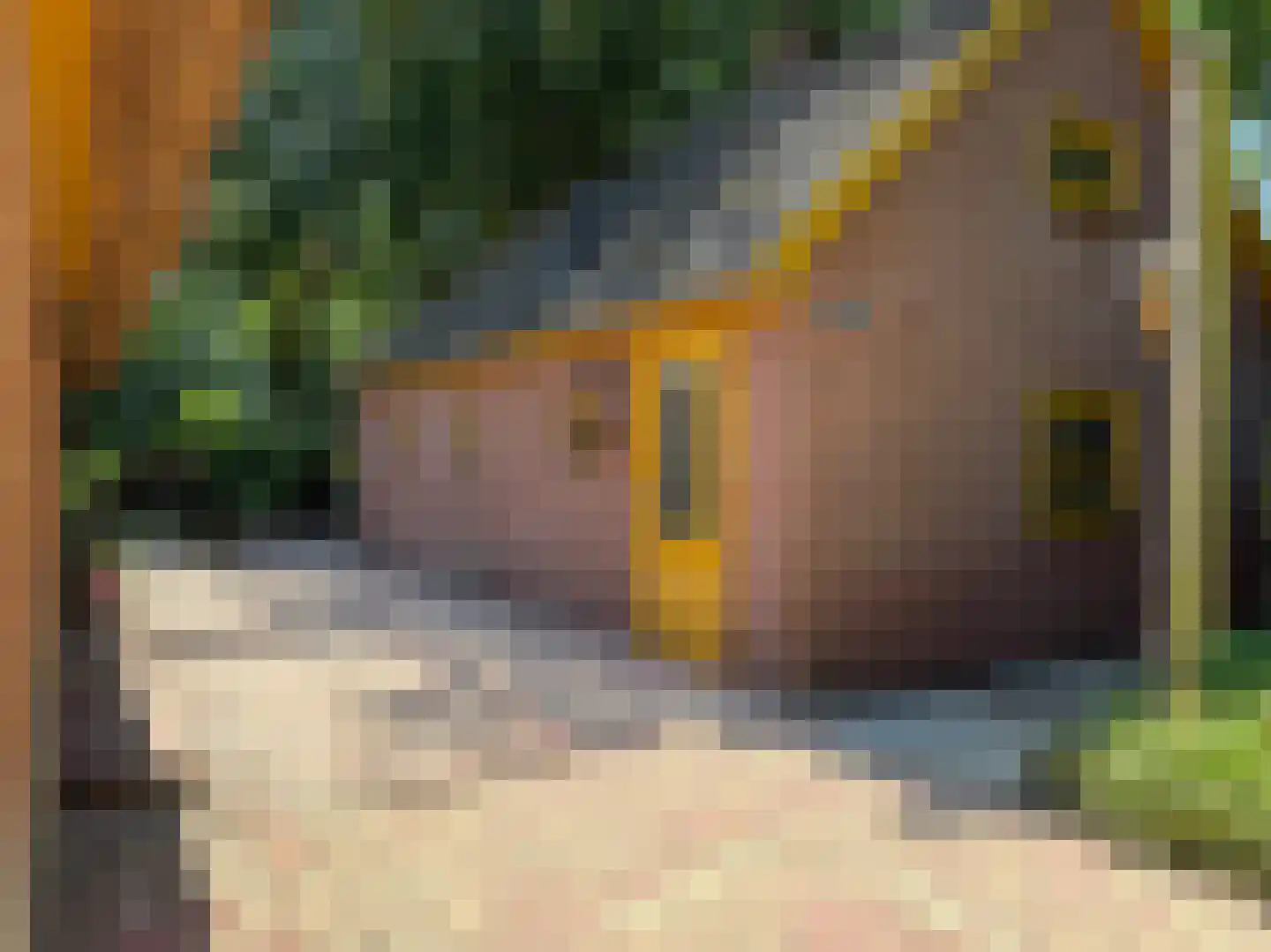 Waterstraat 6 Vaassen thumbnail 27