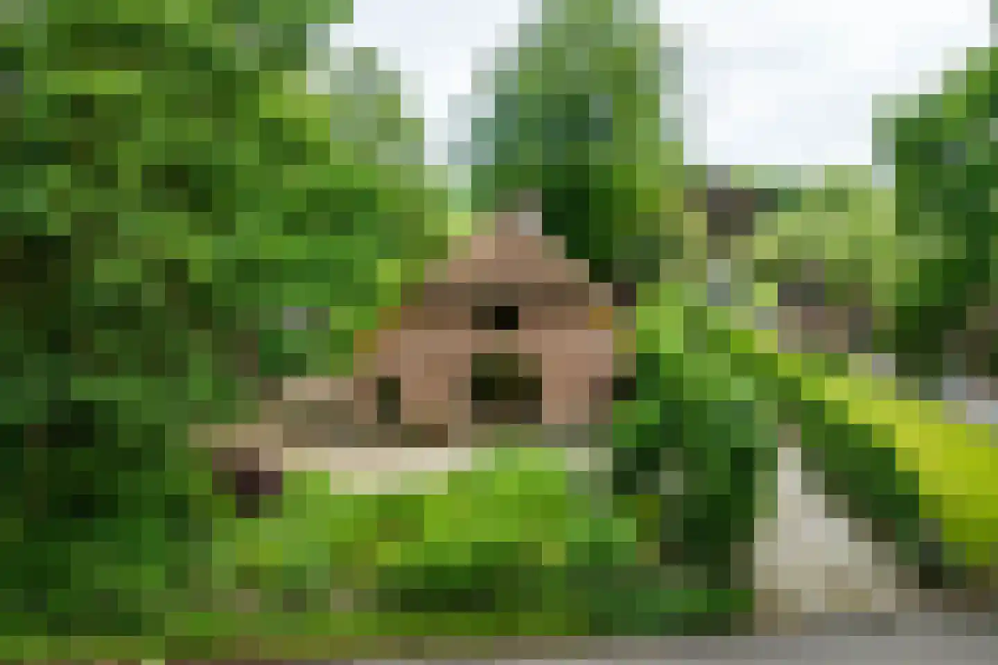 Waterstraat 6 Vaassen thumbnail 33