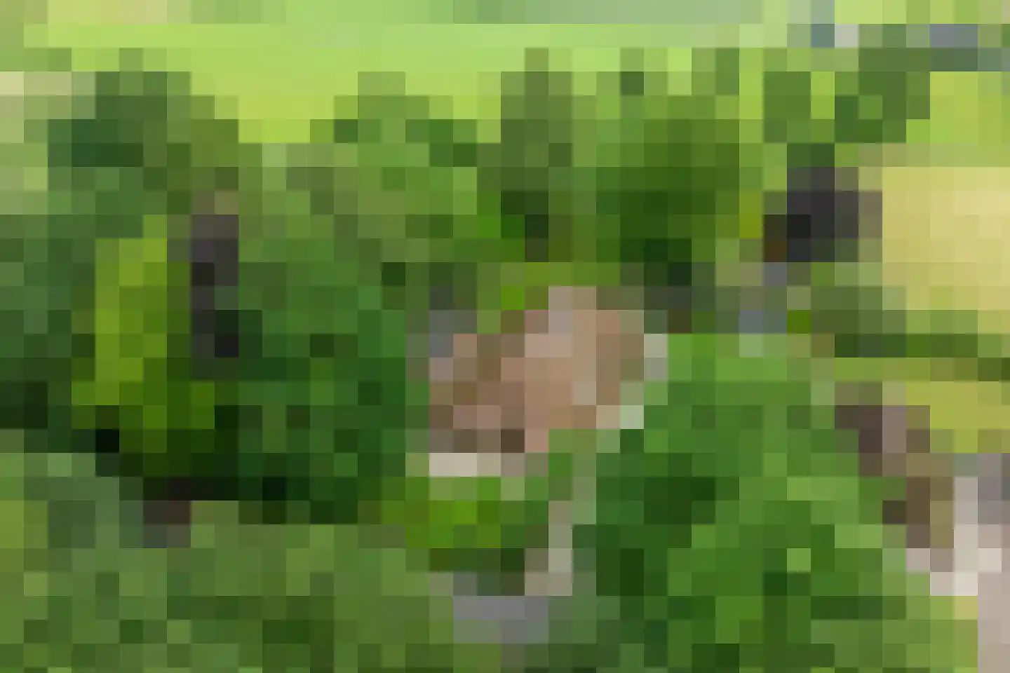 Waterstraat 6 Vaassen thumbnail 35