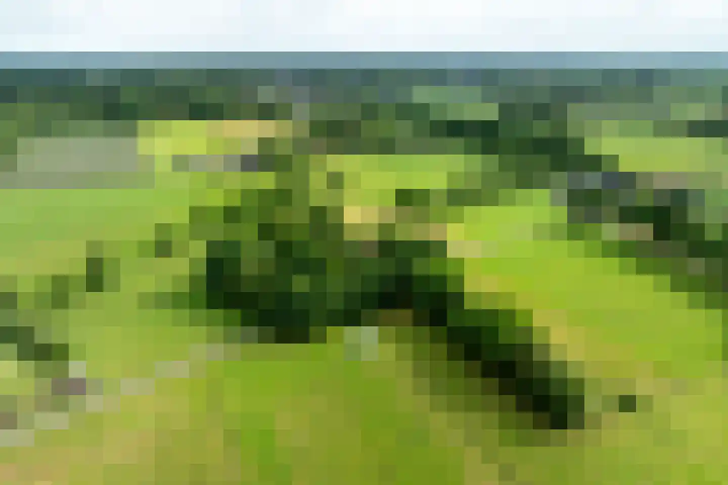 Waterstraat 6 Vaassen thumbnail 36