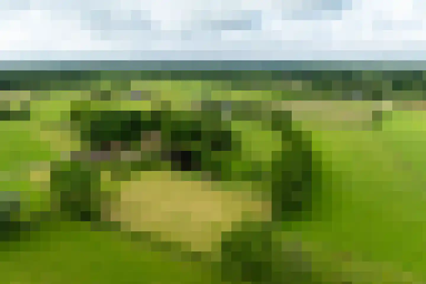 Waterstraat 6 Vaassen thumbnail 37