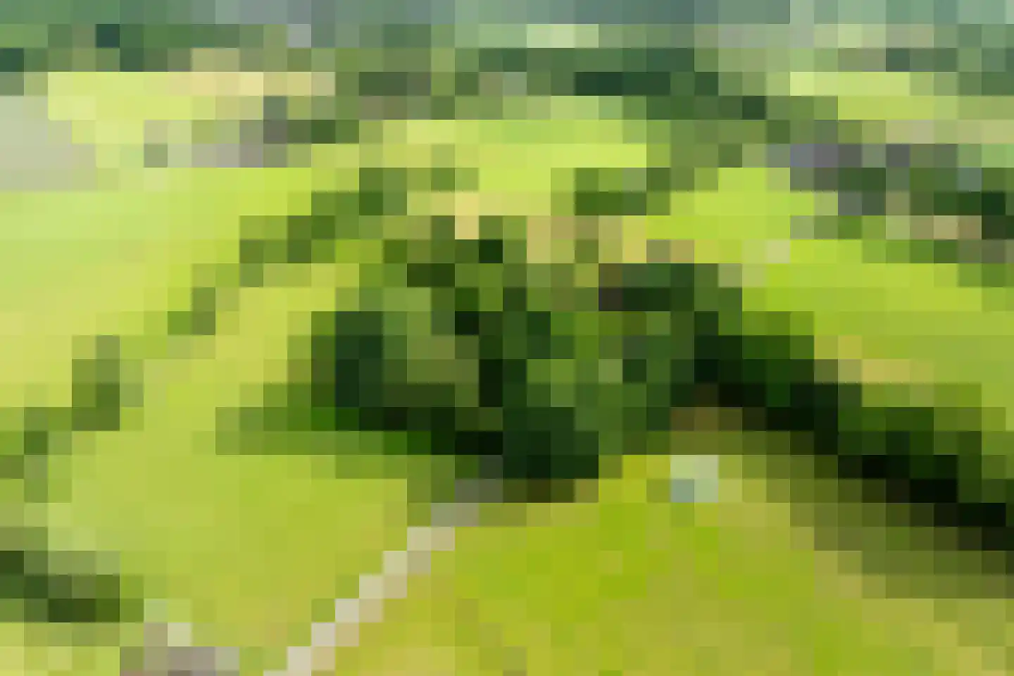 Waterstraat 6 Vaassen thumbnail 38