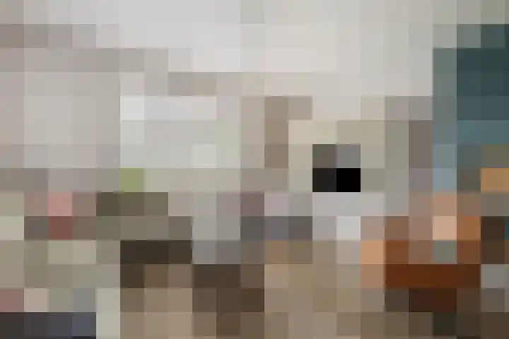 Waterstraat 6 Wijhe thumbnail 10