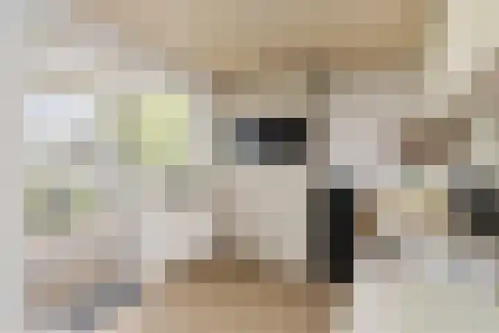 Waterstraat 6 Wijhe thumbnail 17
