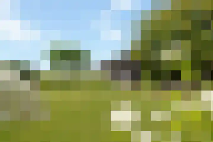 Waterstraat 6 Wijhe thumbnail 33