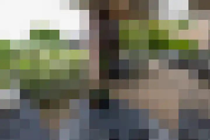 Waterstraat 6 Wijhe thumbnail 34