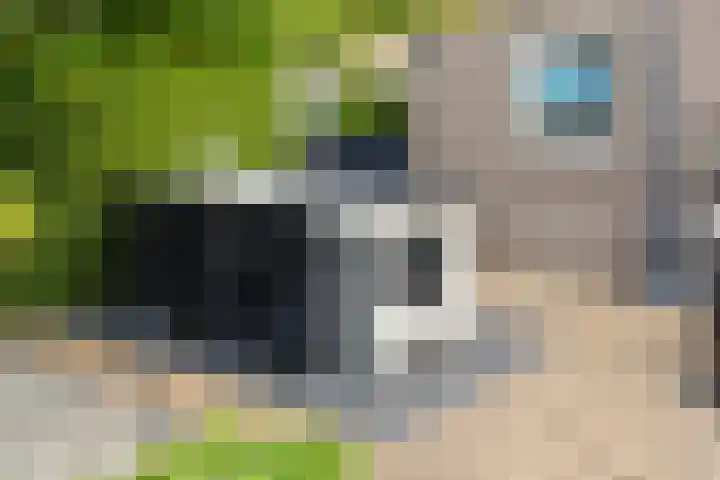 Waterstraat 6 Wijhe thumbnail 37