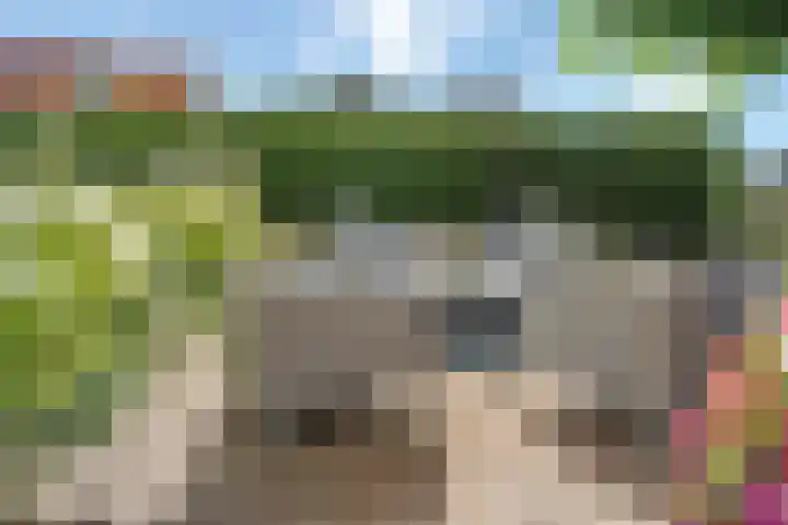 Waterstraat 6 Wijhe thumbnail 39