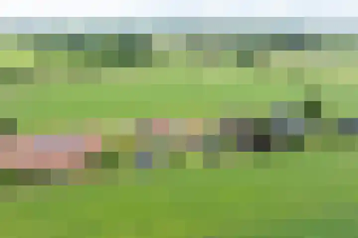 Waterstraat 6 Wijhe thumbnail 4