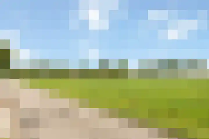 Waterstraat 6 Wijhe thumbnail 41