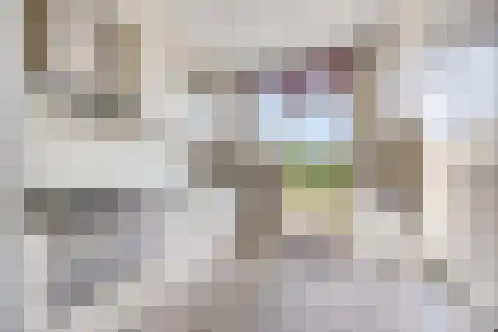Waterstraat 78 Halsteren thumbnail 4