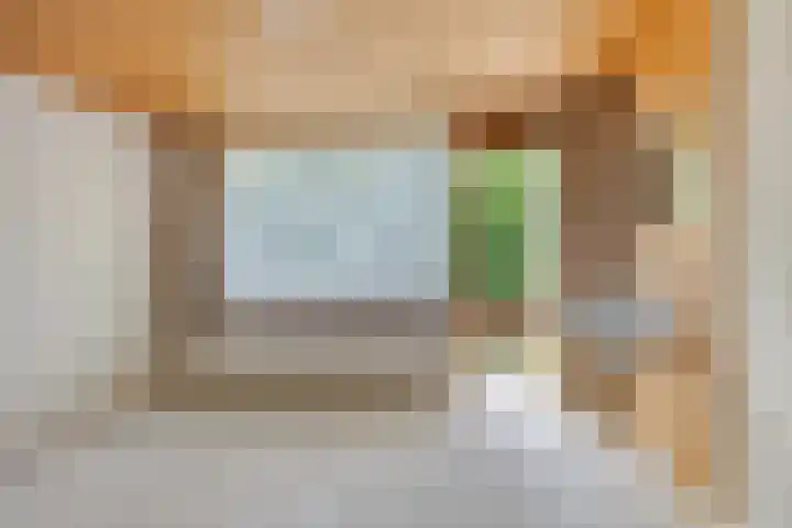 Waterstraat 78 Halsteren thumbnail 5
