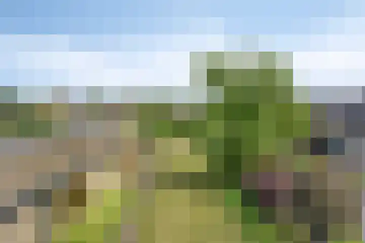 Waterstraat 78 Halsteren thumbnail 7