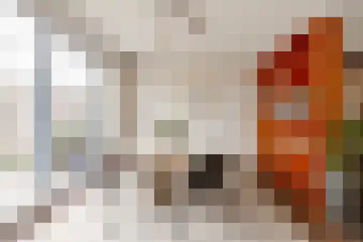 Waterstraat 8 Halsteren thumbnail 13
