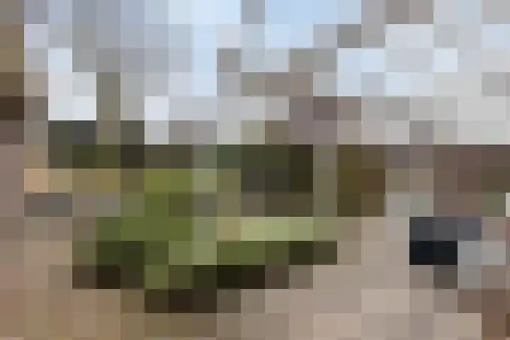 Waterstraat 8 Halsteren thumbnail 31